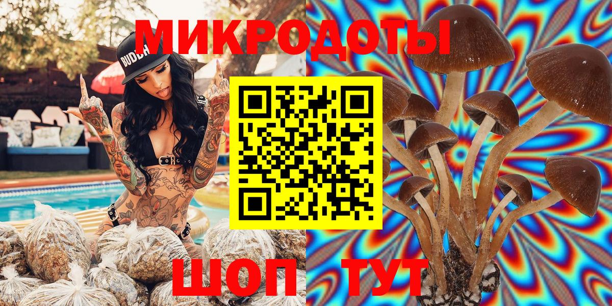 Кудымкар  Псилоцибиновые грибы мицелий  Вход с VPN  Псилоцибиновые грибы GOLDEN TEACHER 